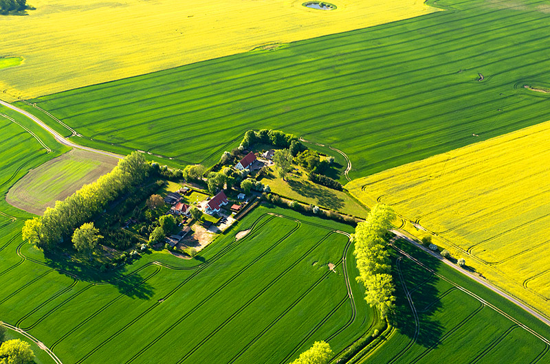 zur &Uuml;bersicht Felder 4