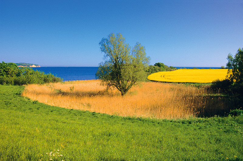 zur &Uuml;bersicht Felder 4