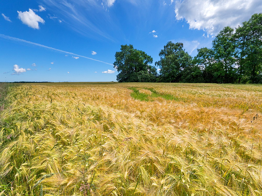 zur &Uuml;bersicht Felder 5