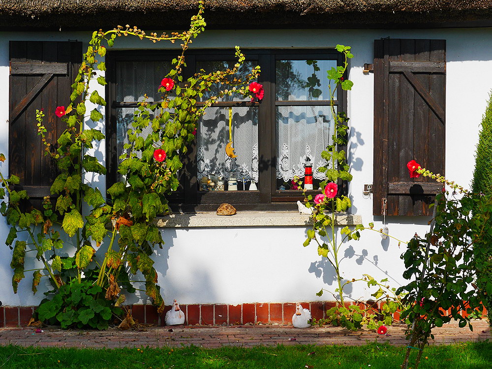 zur &Uuml;bersicht Fenster 12