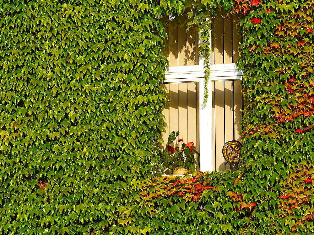 zur &Uuml;bersicht Fenster 12