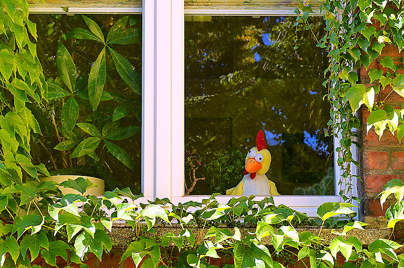 zur &Uuml;bersicht Fenster 5