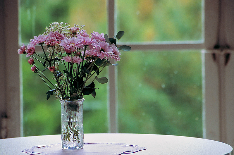 zur &Uuml;bersicht Fenster 5