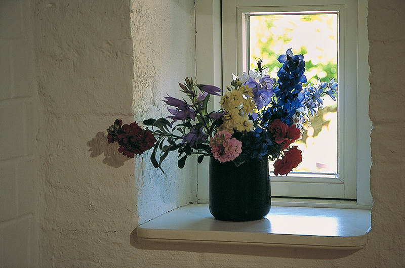 zur &Uuml;bersicht Fenster 5