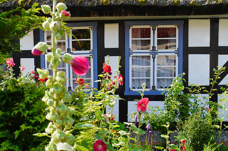 zur &Uuml;bersicht Fenster 5