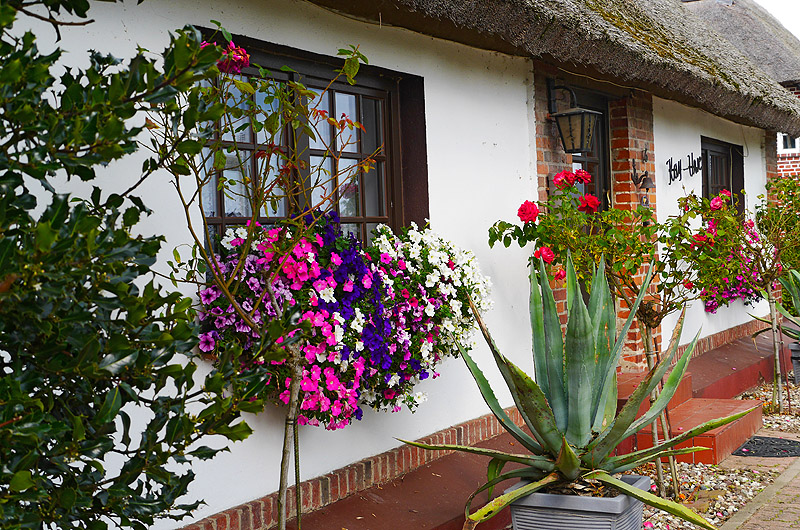 zur &Uuml;bersicht Fenster 6
