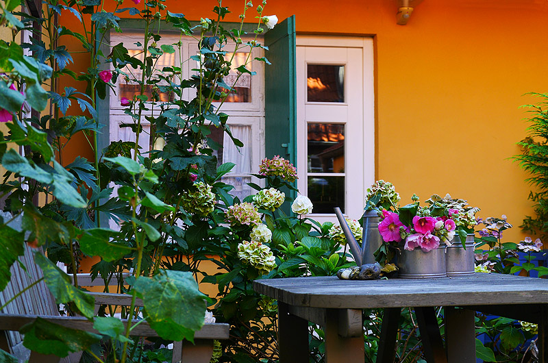 zur &Uuml;bersicht Fenster 6