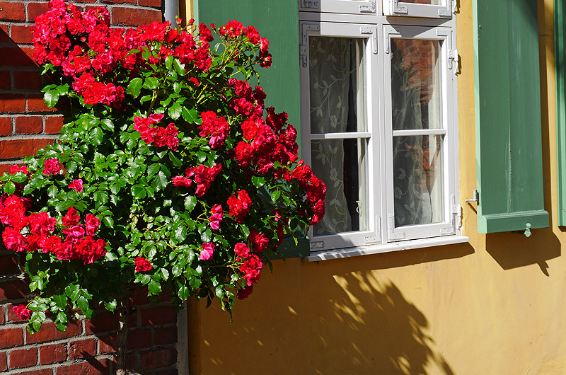 zur &Uuml;bersicht Fenster 6