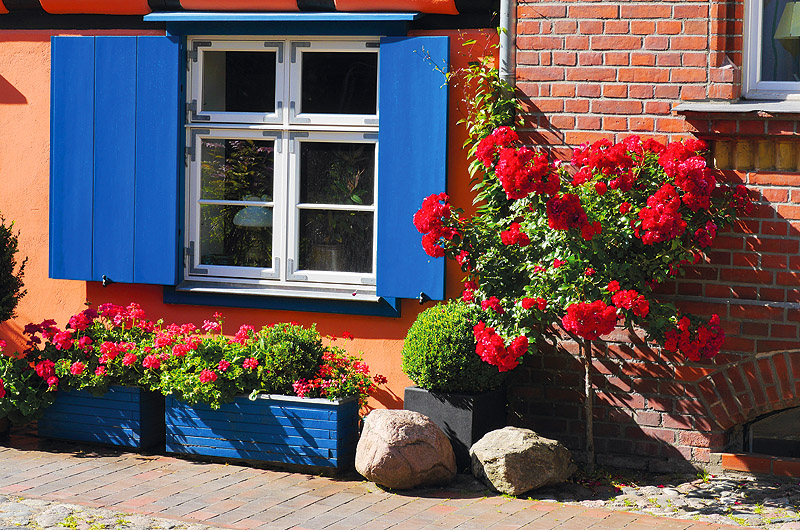 zur &Uuml;bersicht Fenster 6