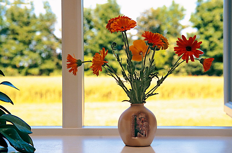 zur &Uuml;bersicht Fenster 7