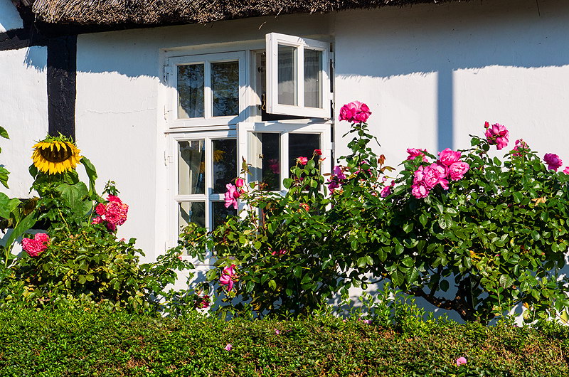 zur &Uuml;bersicht Fenster 7