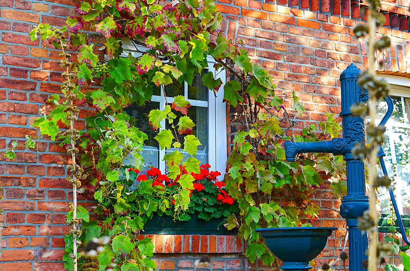 zur &Uuml;bersicht Fenster 7