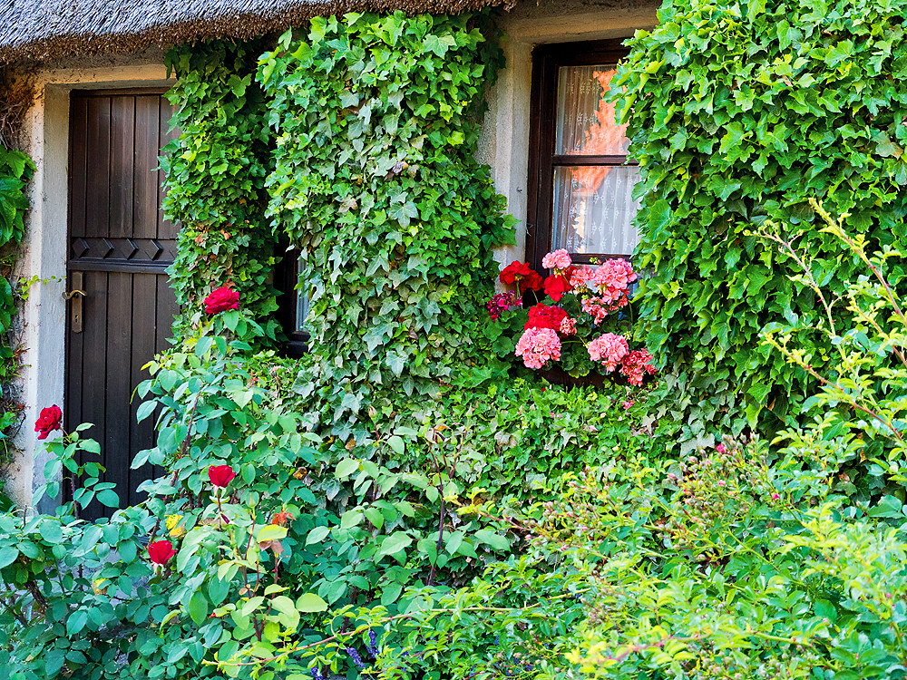 zur &Uuml;bersicht Fenster 8