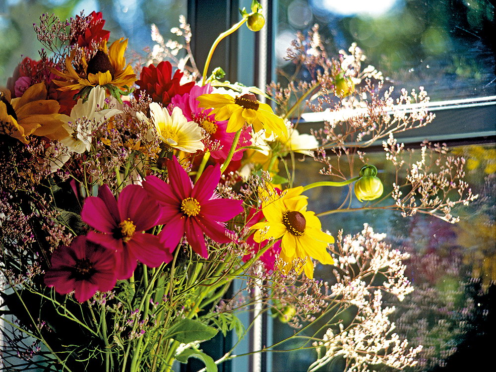 zur &Uuml;bersicht Fenster 8