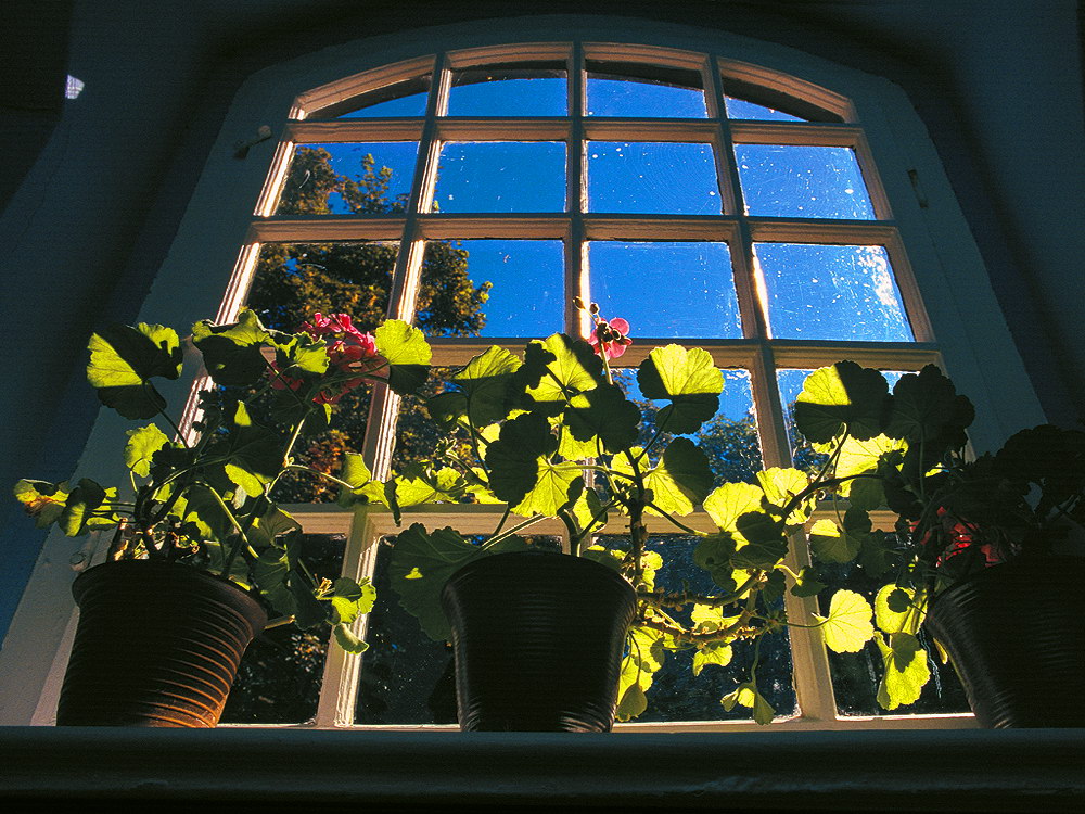 zur &Uuml;bersicht Fenster 8