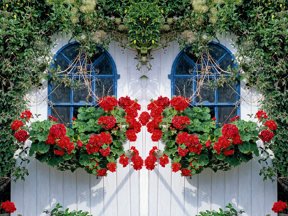 zur &Uuml;bersicht Fenster 8