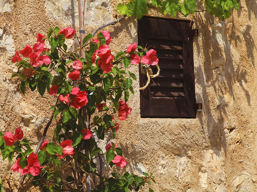 zur &Uuml;bersicht Fenster 9