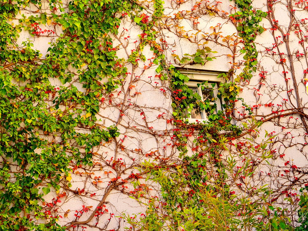 zur &Uuml;bersicht Fenster 9