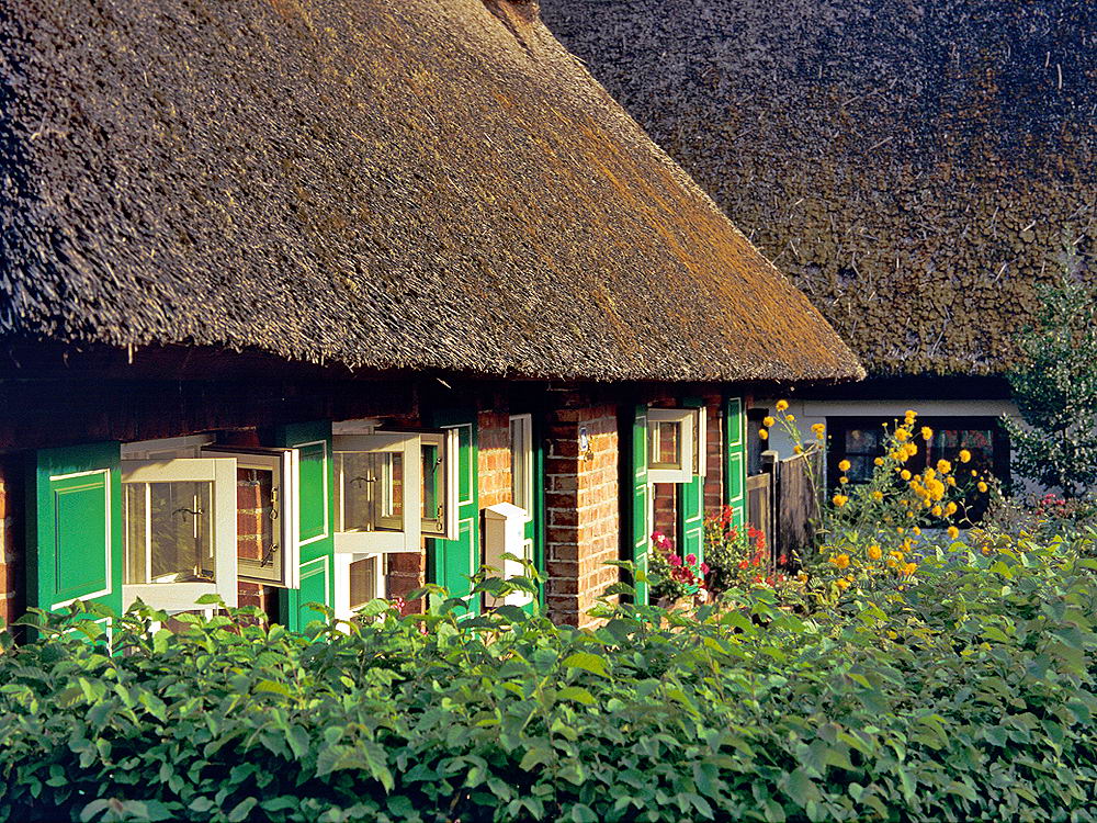 zur &Uuml;bersicht Fenster 9