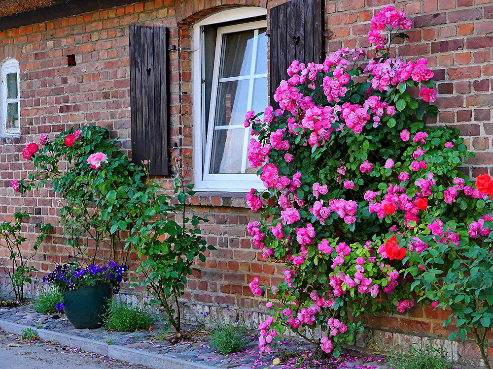 zur &Uuml;bersicht Fenster 9
