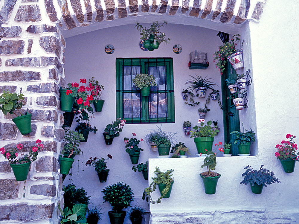 zur &Uuml;bersicht Fenster 10