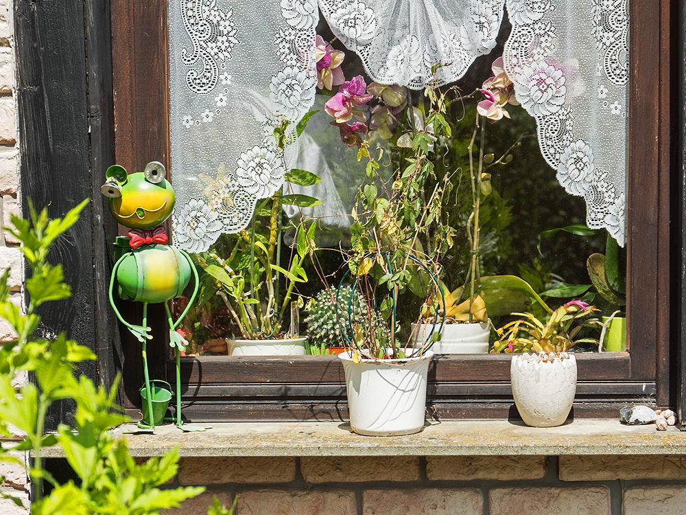 zur &Uuml;bersicht Fenster 10