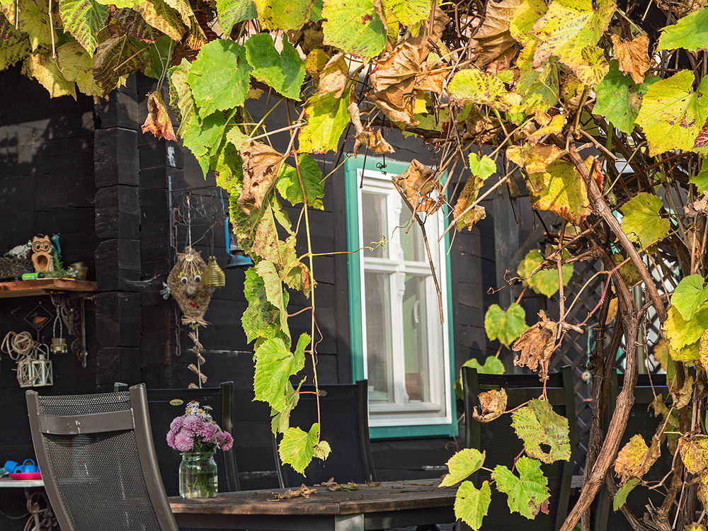 zur &Uuml;bersicht Fenster 11