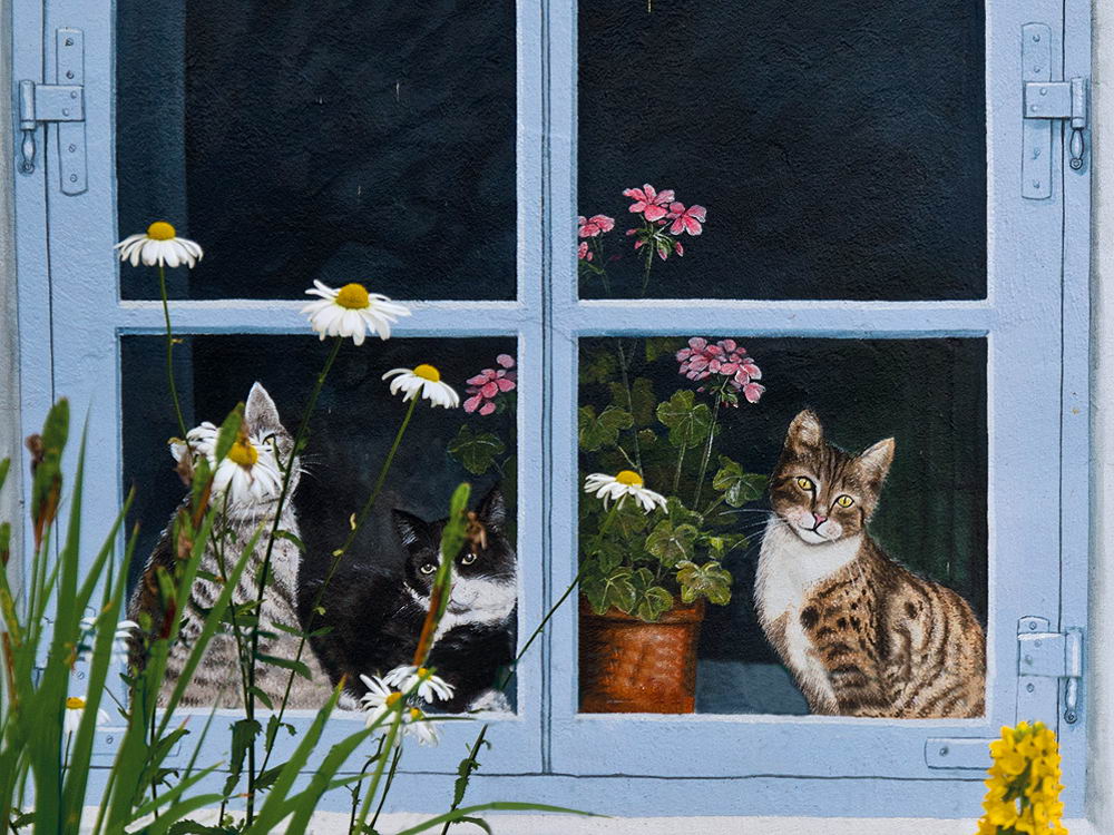 zur &Uuml;bersicht Fenster 11