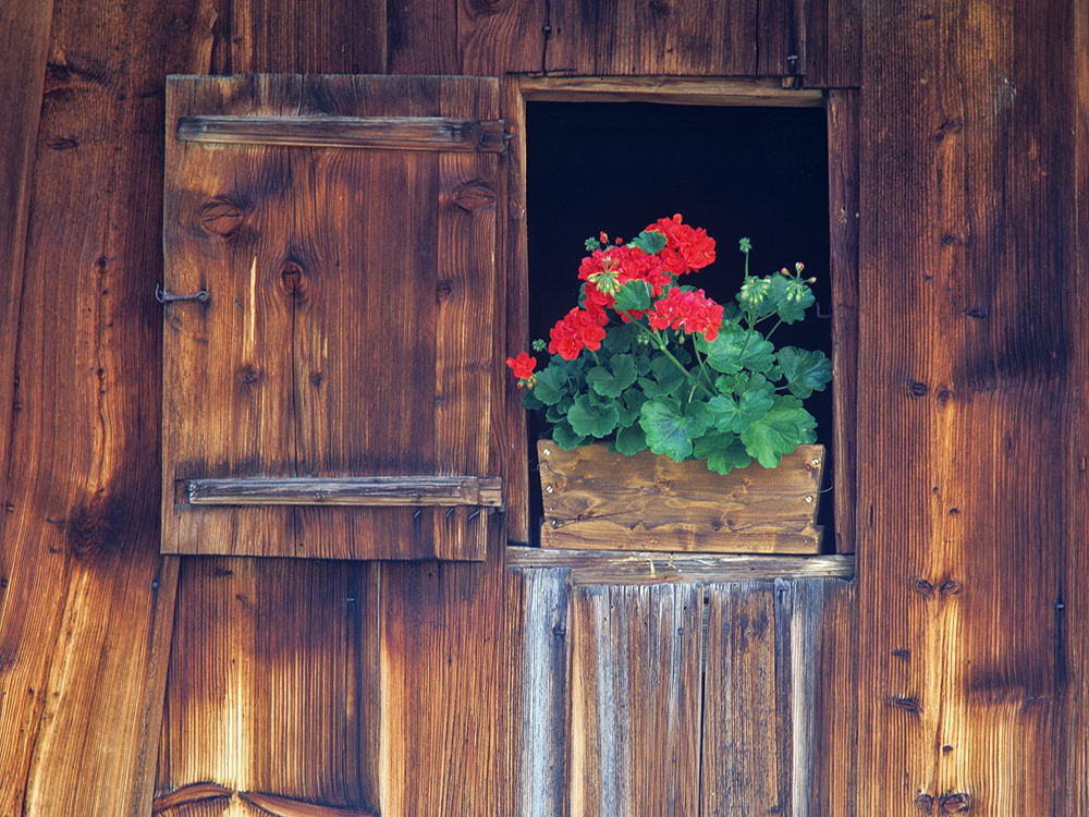 zur &Uuml;bersicht Fenster 11