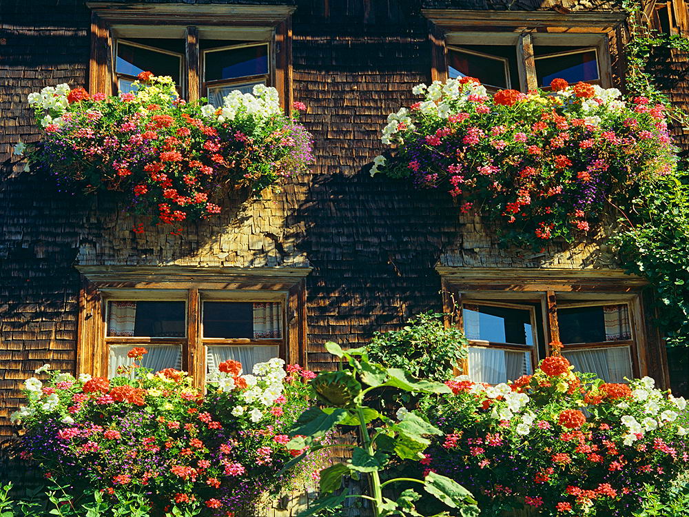 zur &Uuml;bersicht Fenster 11