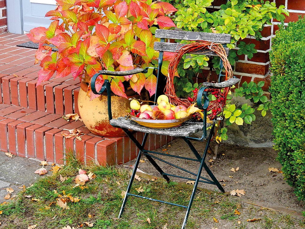 zur &Uuml;bersicht Fr&uuml;chte 5