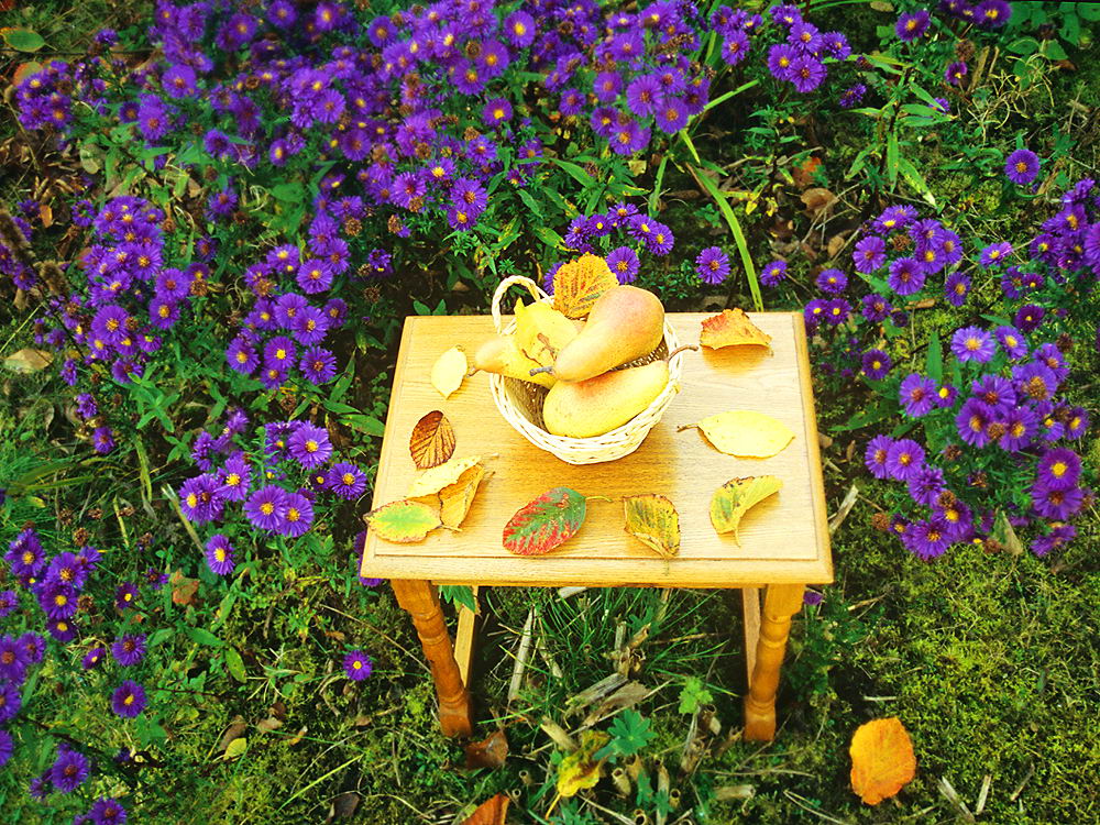 zur &Uuml;bersicht Fr&uuml;chte 5