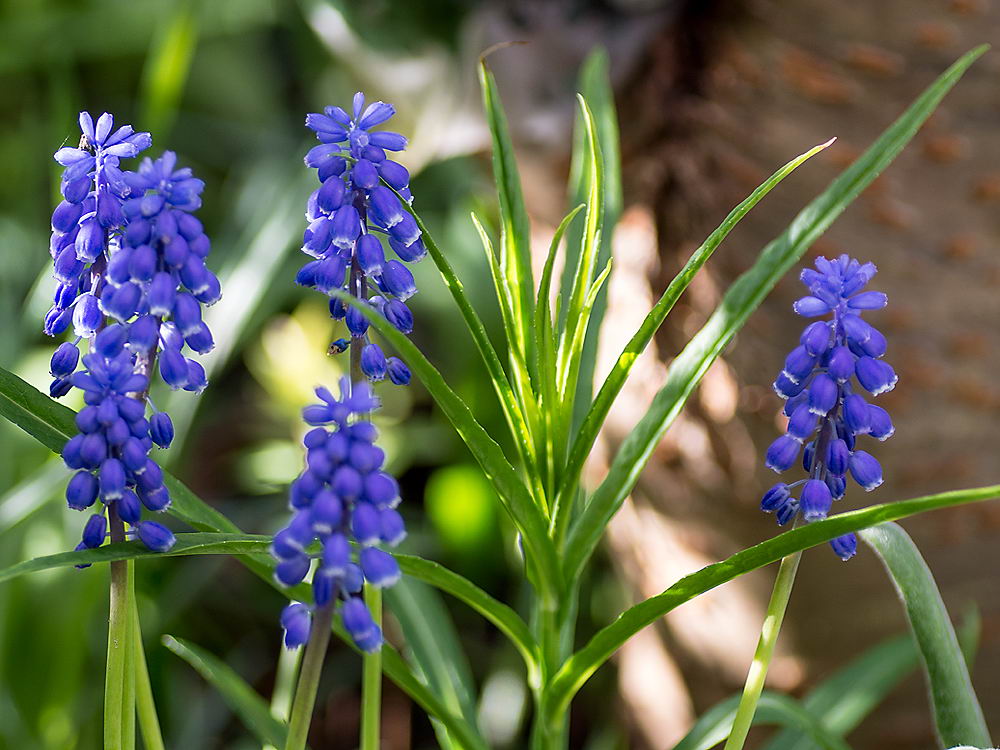 zur &Uuml;bersicht Fr&uuml;hling 2