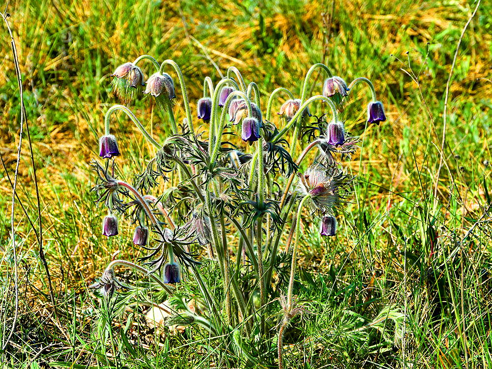 zur &Uuml;bersicht Fr&uuml;hling 3