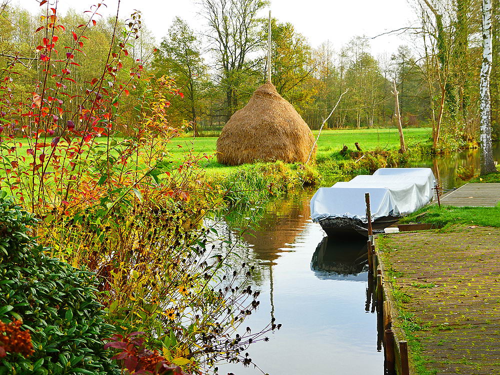 zur &Uuml;bersicht Herbst 2