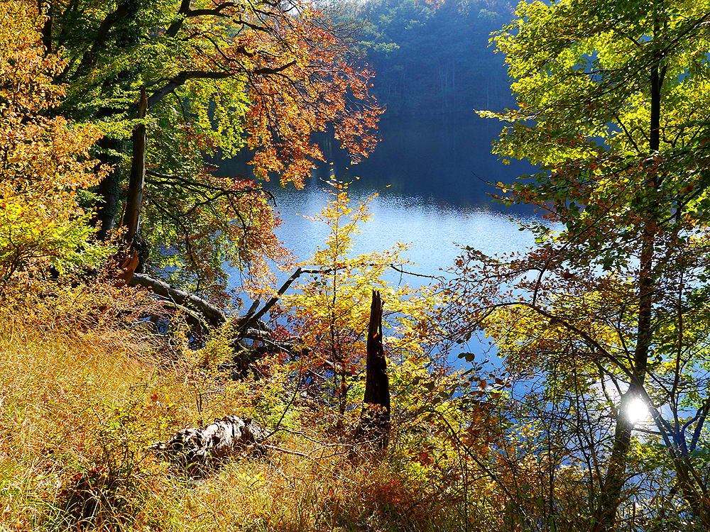 zur &Uuml;bersicht Herbst 3