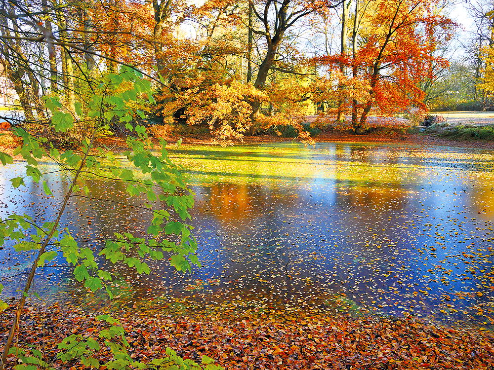 zur &Uuml;bersicht Herbst 4