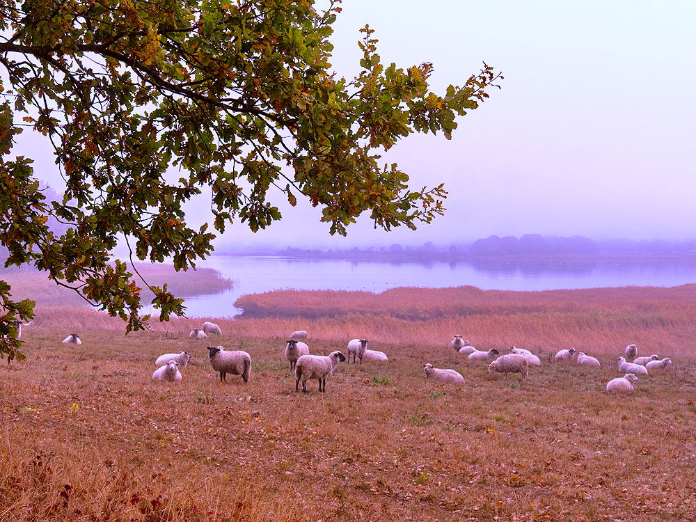 zur &Uuml;bersicht Herbst 4