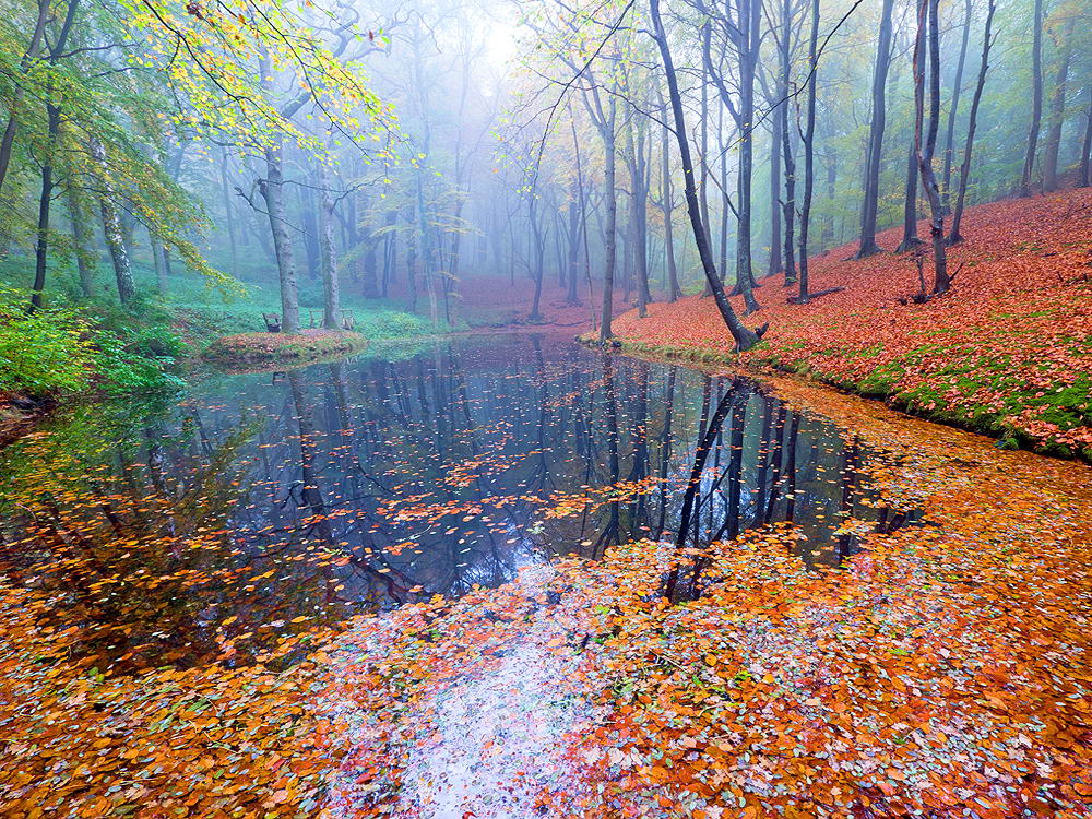 zur &Uuml;bersicht Herbst 4
