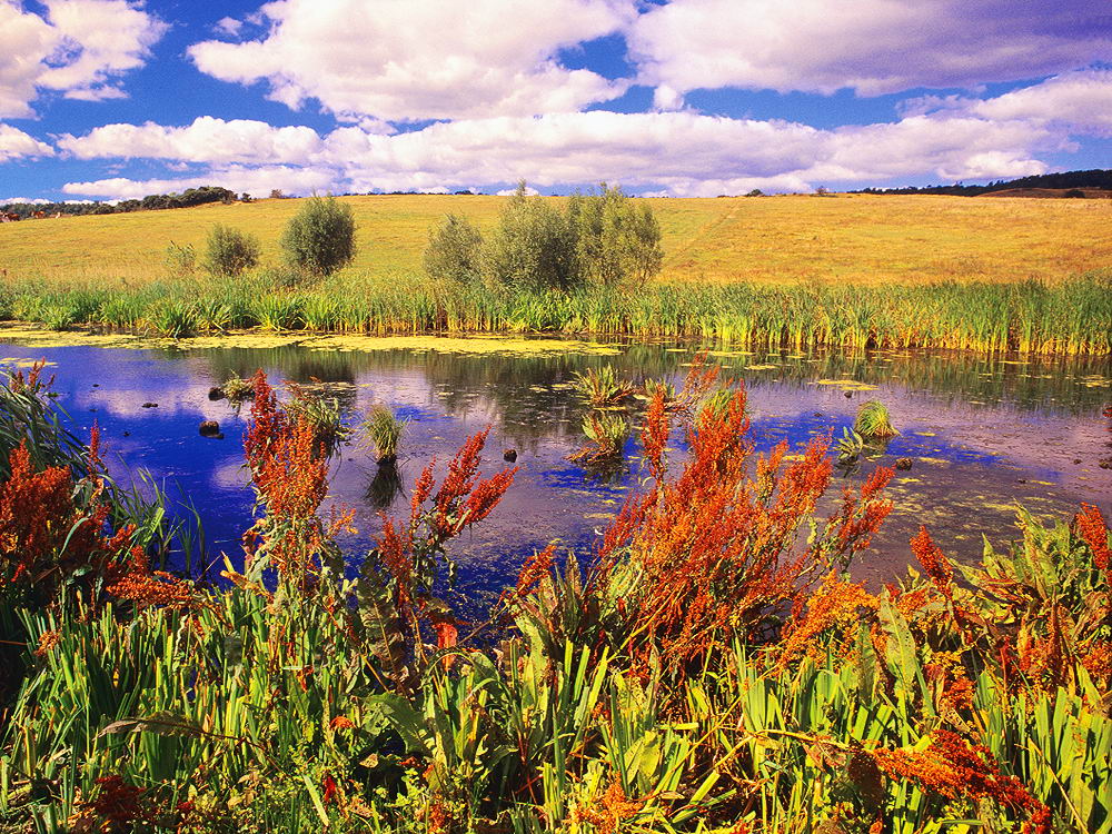 zur &Uuml;bersicht Herbst 4