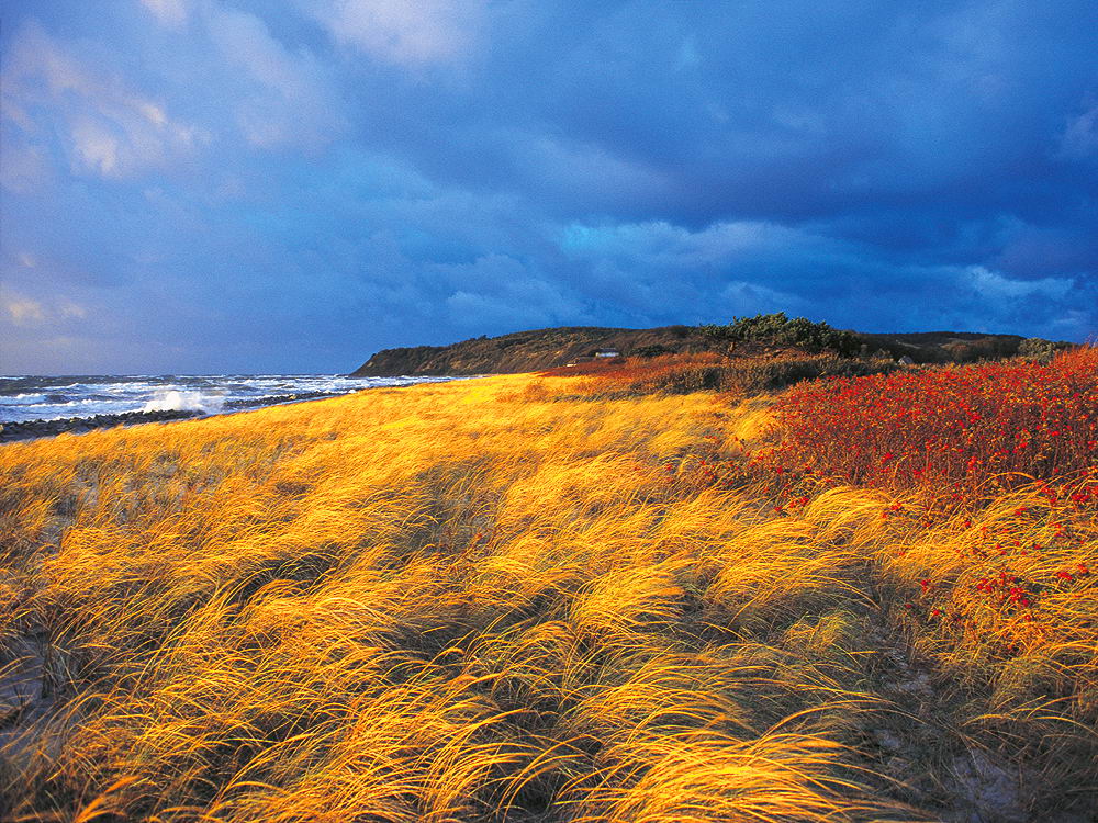 zur &Uuml;bersicht Herbst 4
