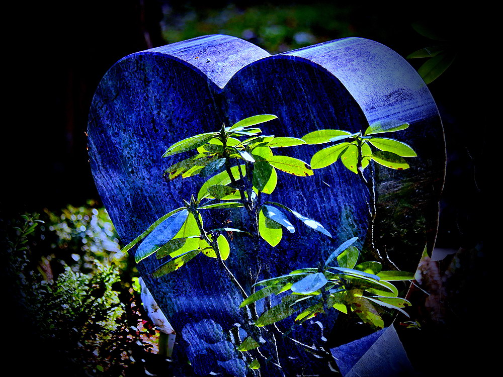 zur &Uuml;bersicht Herzen 4