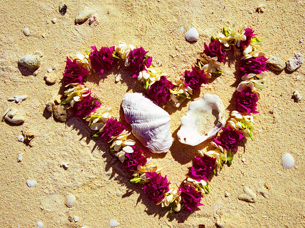 zur &Uuml;bersicht Herzen 4