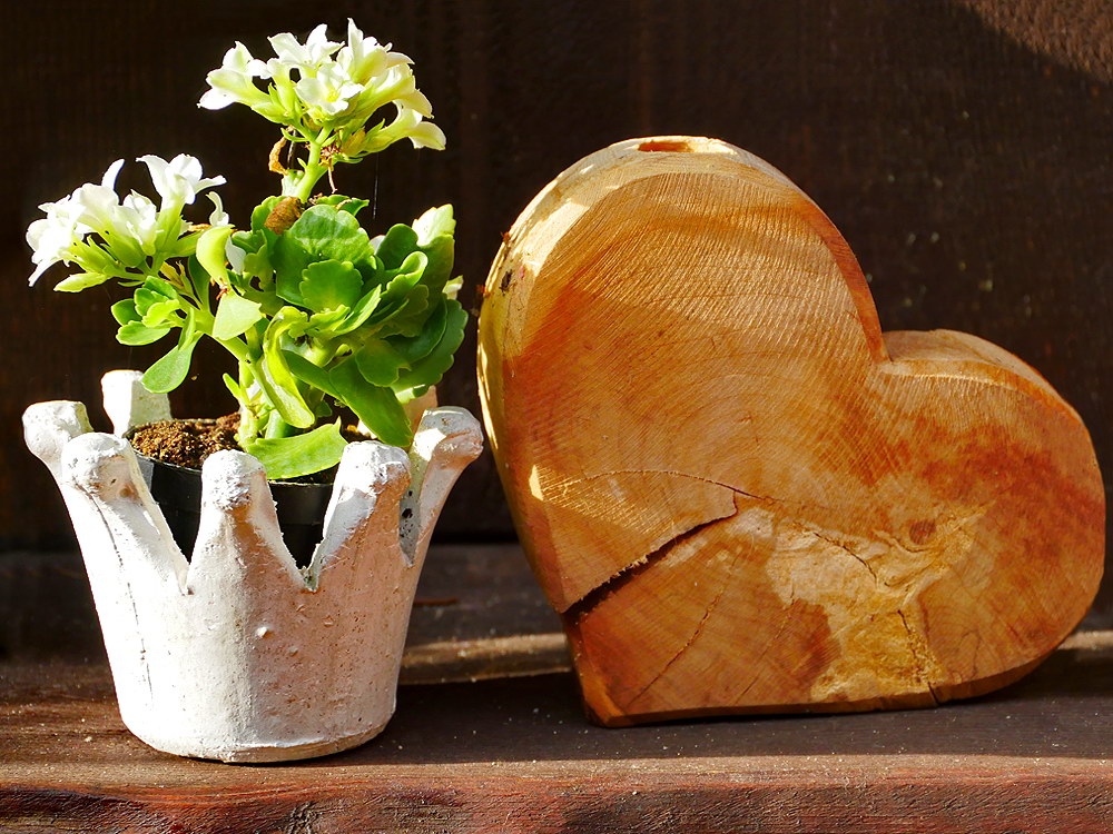 zur &Uuml;bersicht Herzen 5