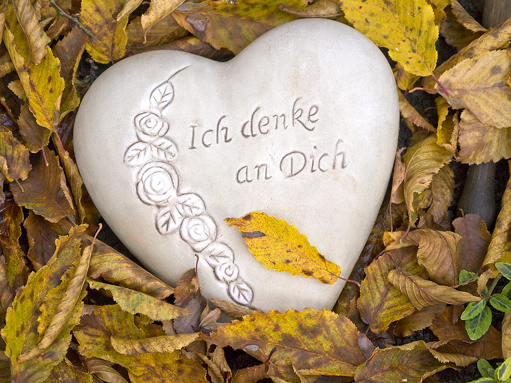 zur &Uuml;bersicht Herzen 5