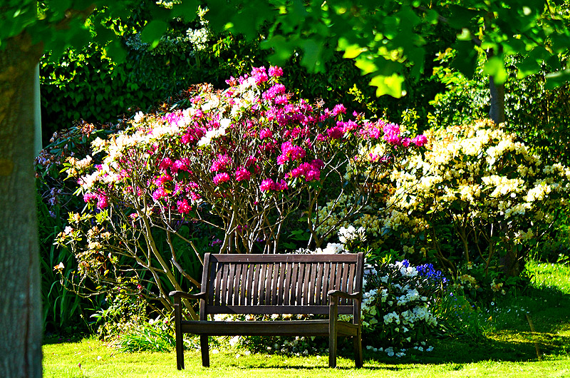 zur &Uuml;bersicht Idyllische Pl&auml;tzchen 4