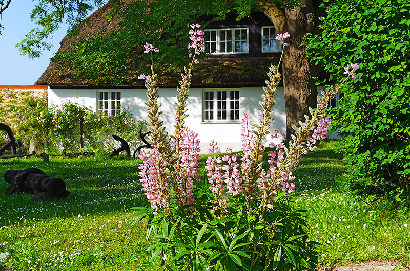 zur &Uuml;bersicht Idyllische Pl&auml;tzchen 4