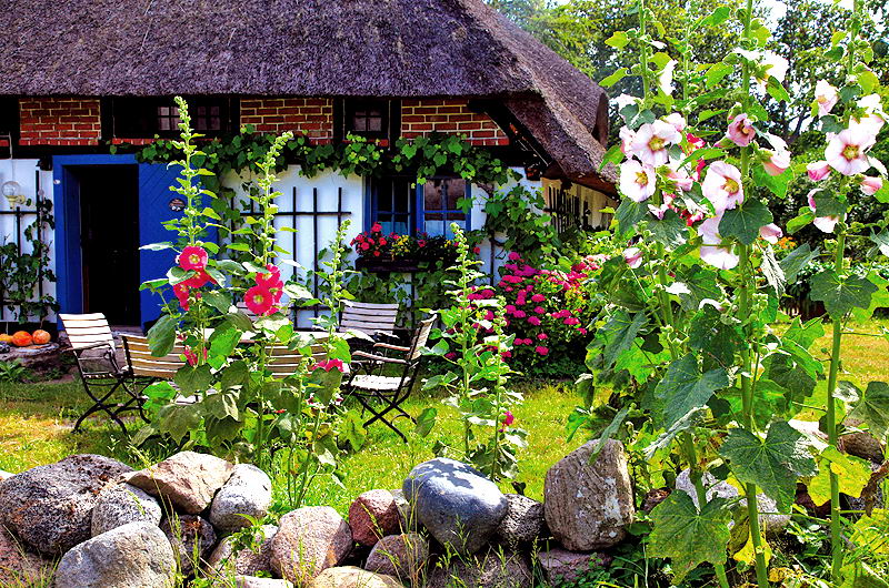 zur &Uuml;bersicht Idyllische Pl&auml;tzchen 4