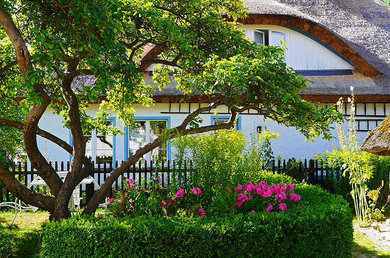 zur &Uuml;bersicht Idyllische Pl&auml;tzchen 5