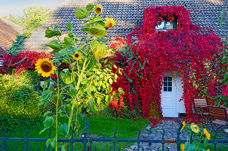 zur &Uuml;bersicht Idyllische Pl&auml;tzchen 5
